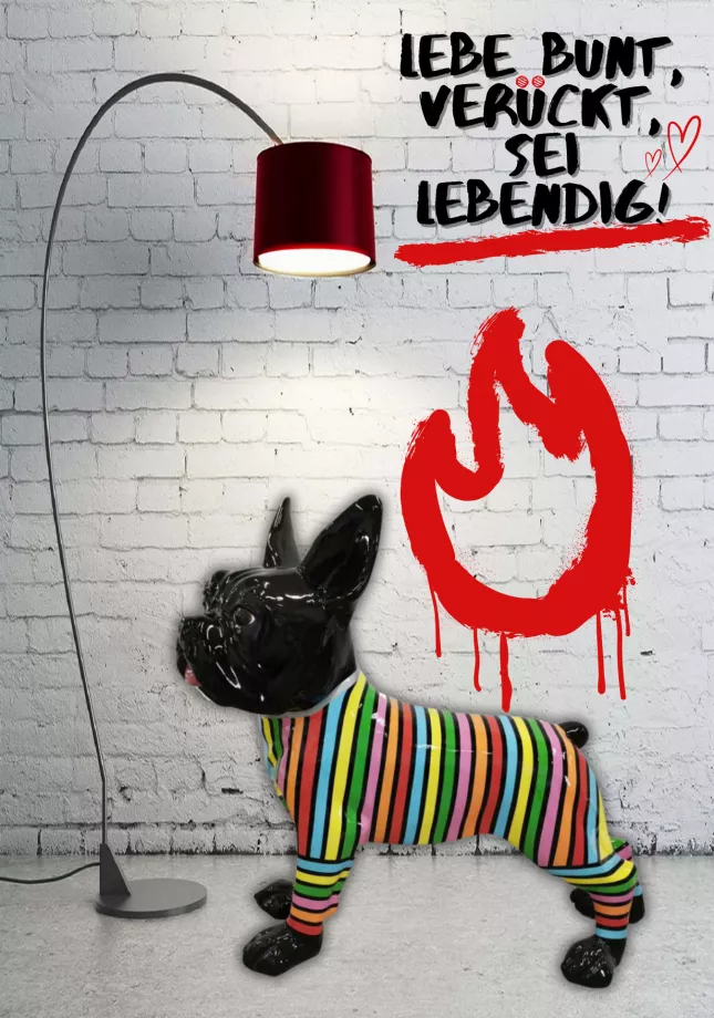 Französische Bulldogge