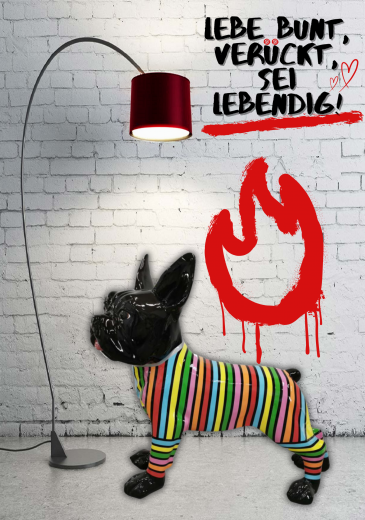 Französische Bulldogge