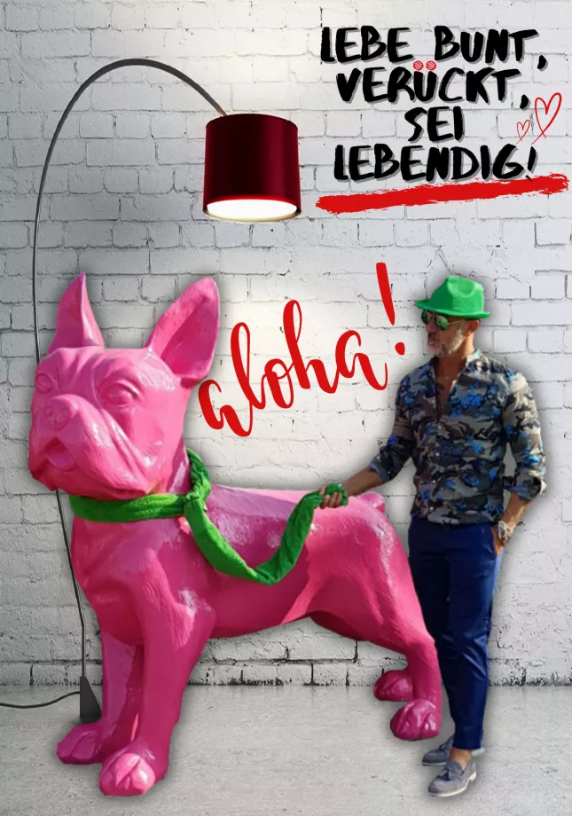 Französische Bulldogge