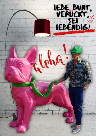 Französische Bulldogge