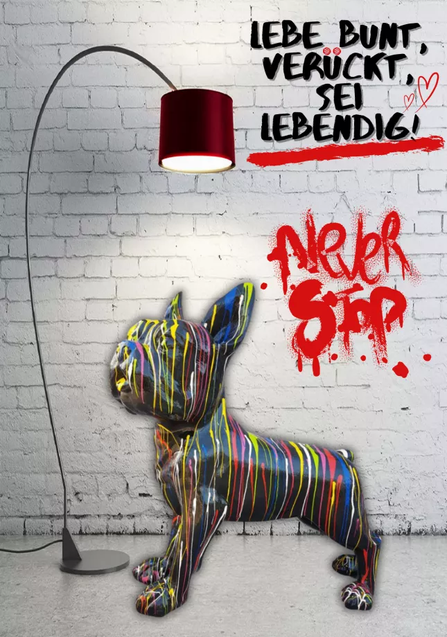 Französische Bulldogge