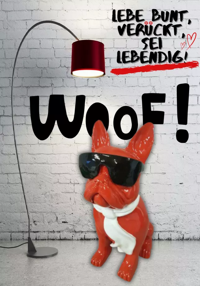 Französische Bulldogge sitzend